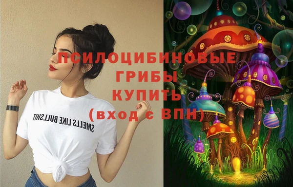 эйфоретик Балахна
