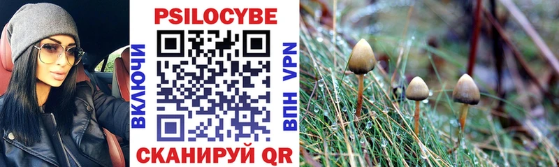 Галлюциногенные грибы Cubensis  Нязепетровск 